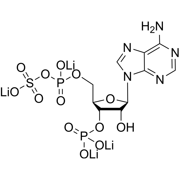 3′-Phosphoadenosine 5′-phosphosulfate tetralithium salt 102029-54-9